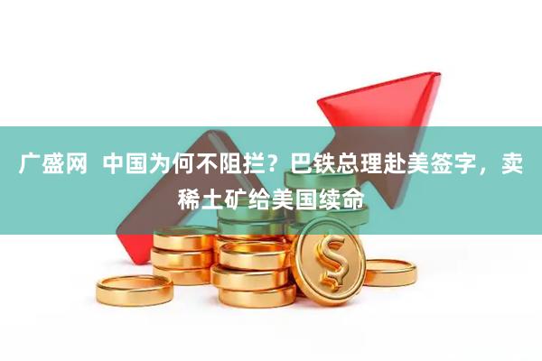 广盛网  中国为何不阻拦？巴铁总理赴美签字，卖稀土矿给美国续命