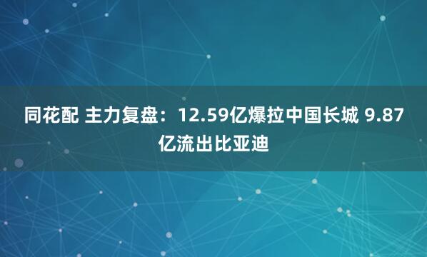 同花配 主力复盘：12.59亿爆拉中国长城 9.87亿流出比亚迪