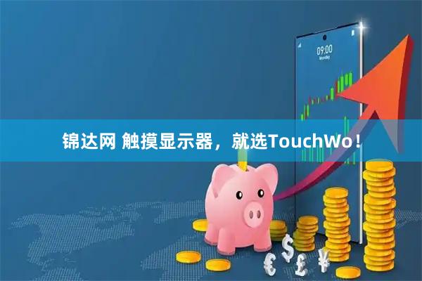 锦达网 触摸显示器，就选TouchWo！