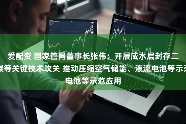 爱配资 国家管网董事长张伟：开展咸水层封存二氧化碳等关键技术攻关 推动压缩空气储能、液流电池等示范应用